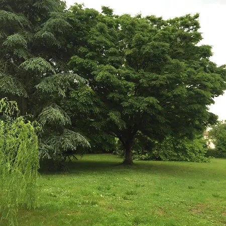 Barchessa Rossetti 아파트